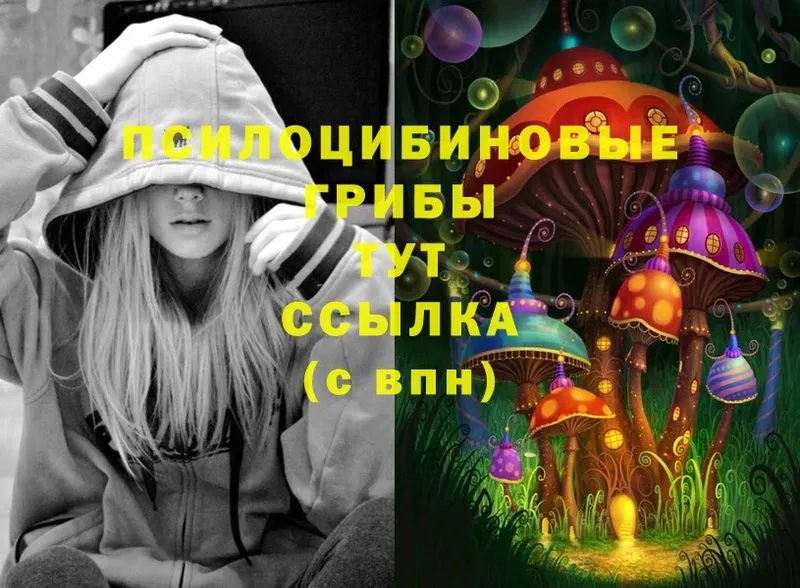 Псилоцибиновые грибы MAGIC MUSHROOMS  цена   Йошкар-Ола 